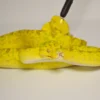 Baby Biak Green Tree Python For Sale - Image 4