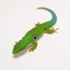 Peacock Day Gecko For Sale